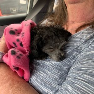 Meet your Posher, Sandy